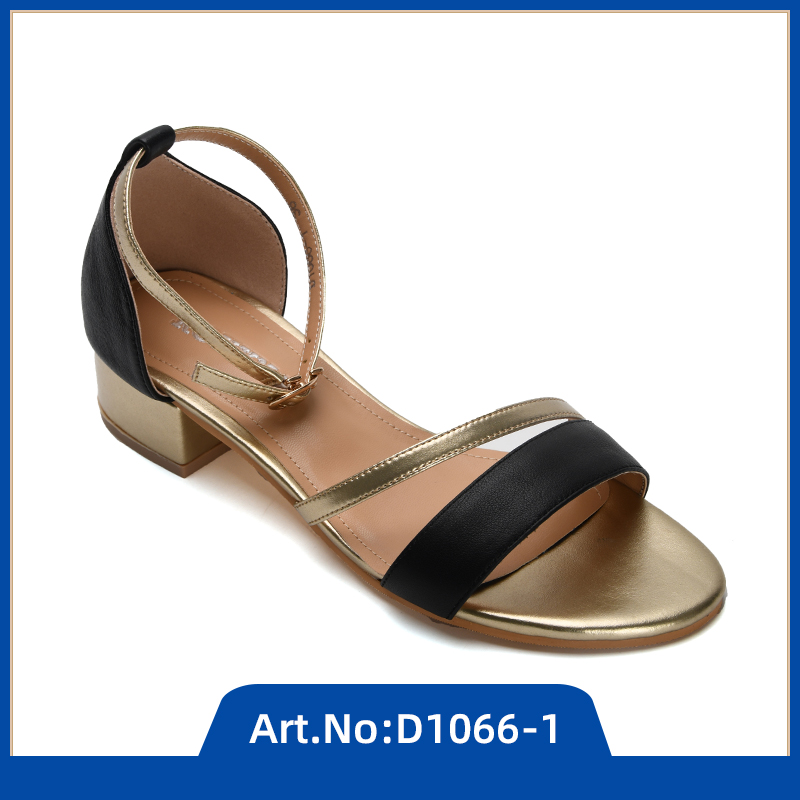 D1066-1